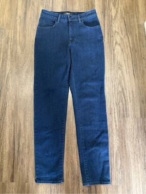 Aritzia TEN Indigo High-Rise Jeans